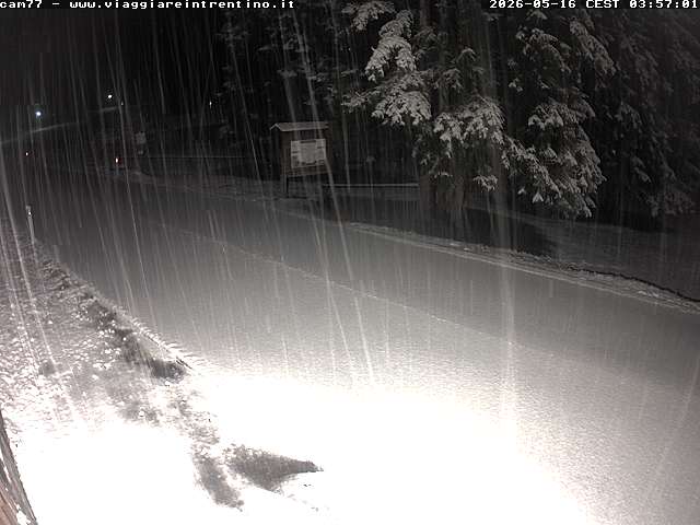 Webcam a Passo San Pellegrino - Trentino
