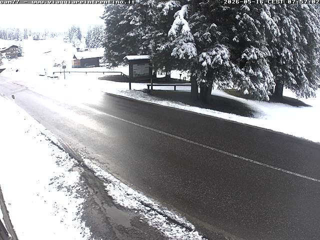Webcam a Passo San Pellegrino - Trentino