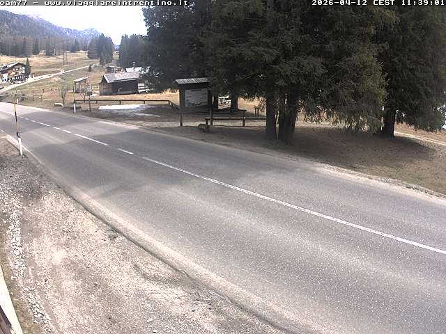 Webcam a Passo San Pellegrino - Trentino