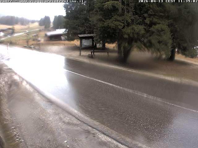 Webcam a Passo San Pellegrino - Trentino