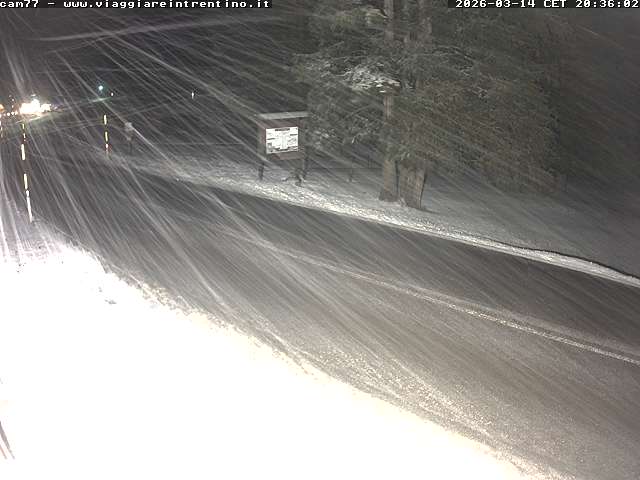 Webcam a Passo San Pellegrino - Trentino