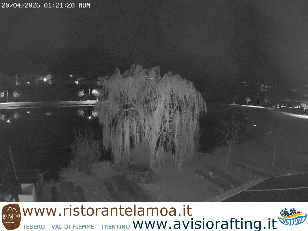 Webcam a Tesero - Trentino