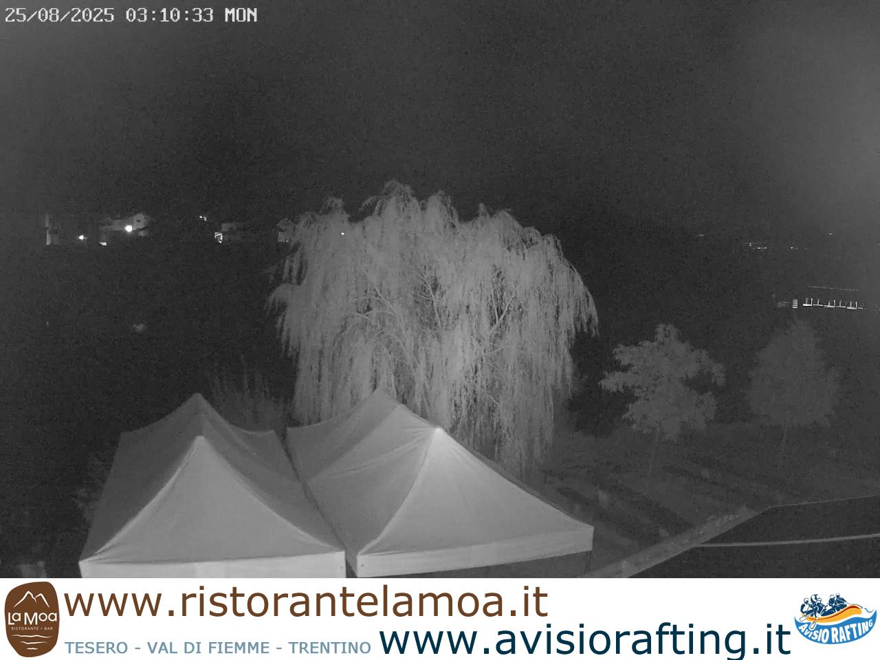 Webcam a Tesero - Trentino - Dolomiti
