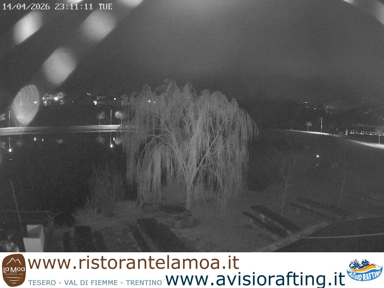 Webcam a Tesero - Trentino