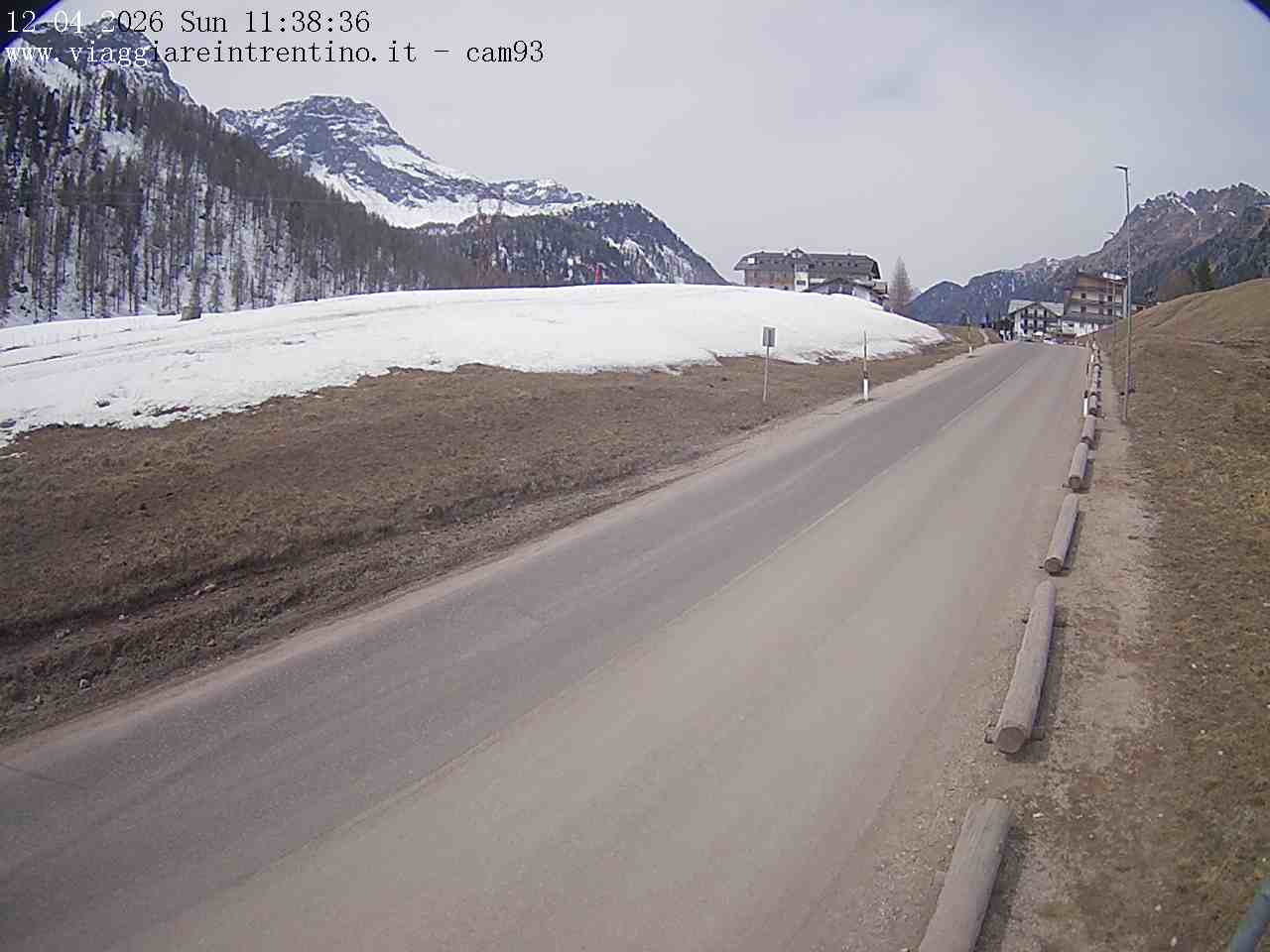 Webcam a Passo San Pellegrino  - Trentino