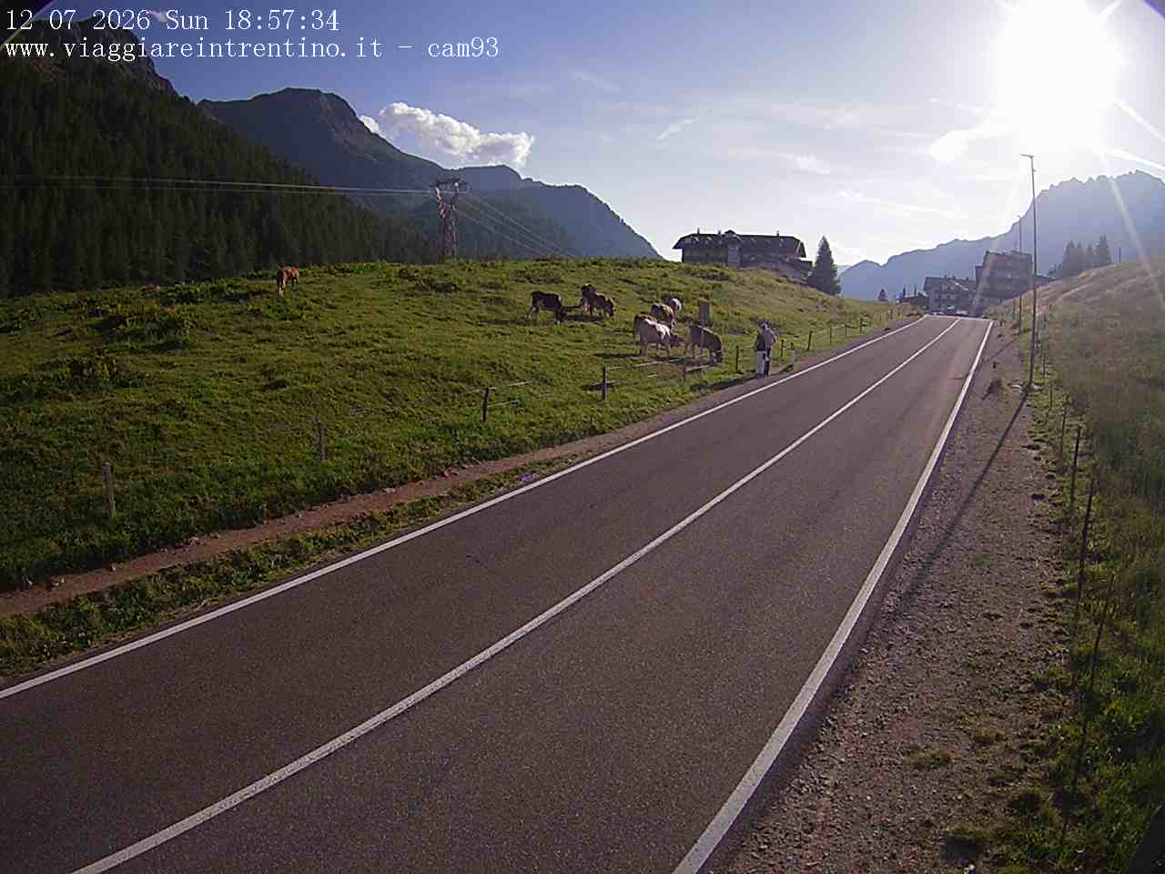 Webcam a Passo San Pellegrino  - Trentino