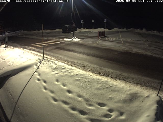 Webcam a Varena - Trentino